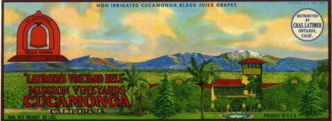 Latimers Vineyard Bell